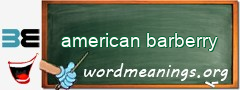 WordMeaning blackboard for american barberry